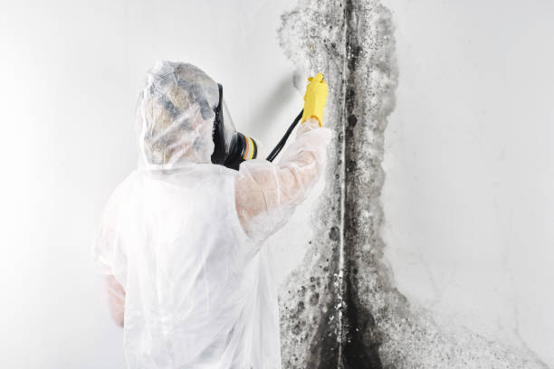 Trusted Princeton, IL Water damage restoration Experts